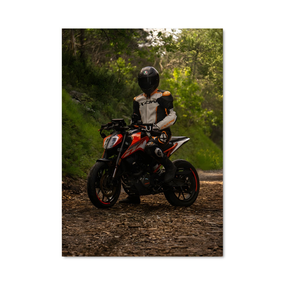 Poster 125 duke 82496