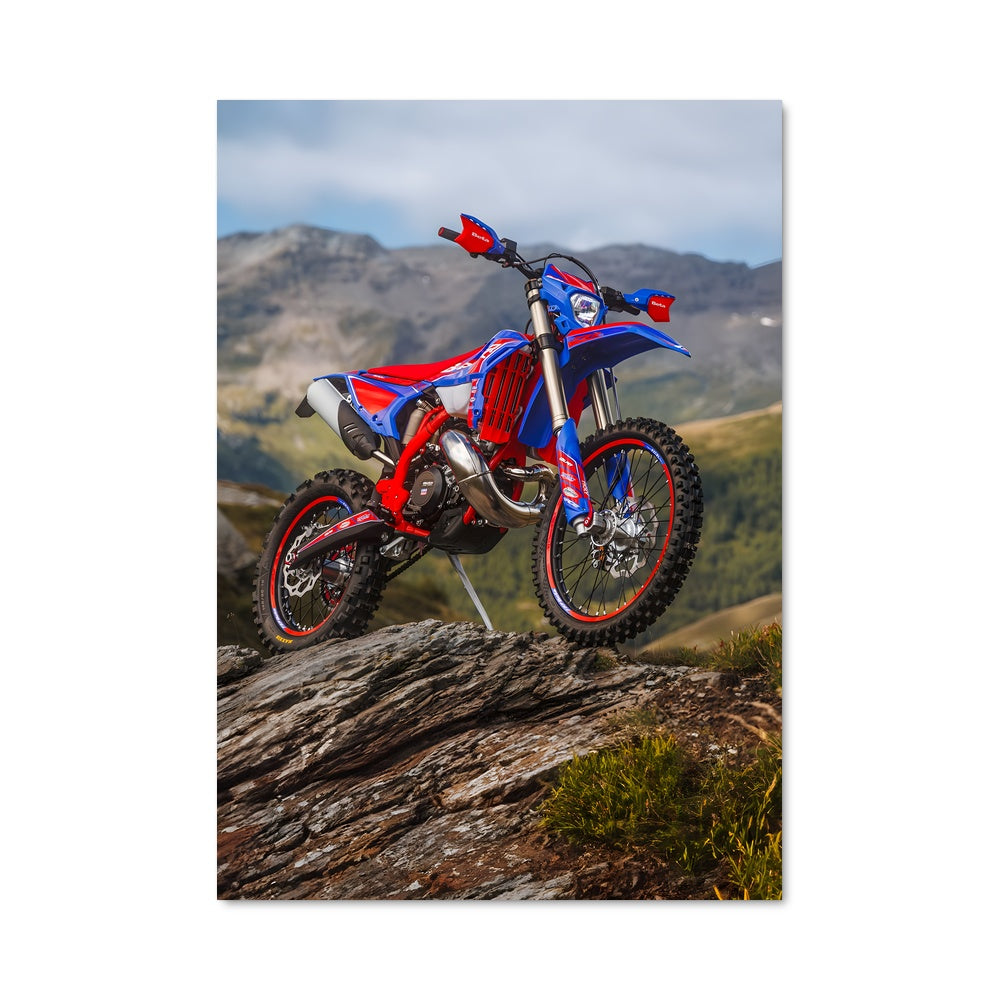 Poster 350 rr-s 81879
