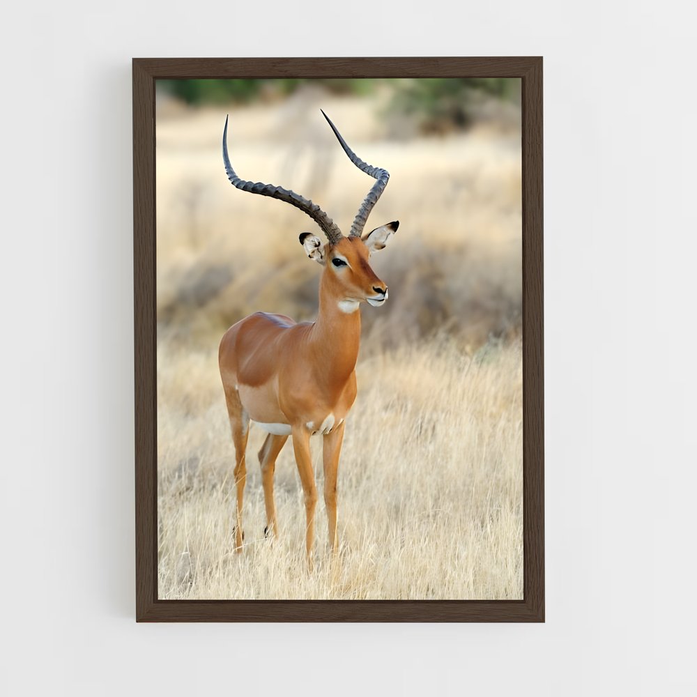 ap-african savanna-3 cadre Bois foncé