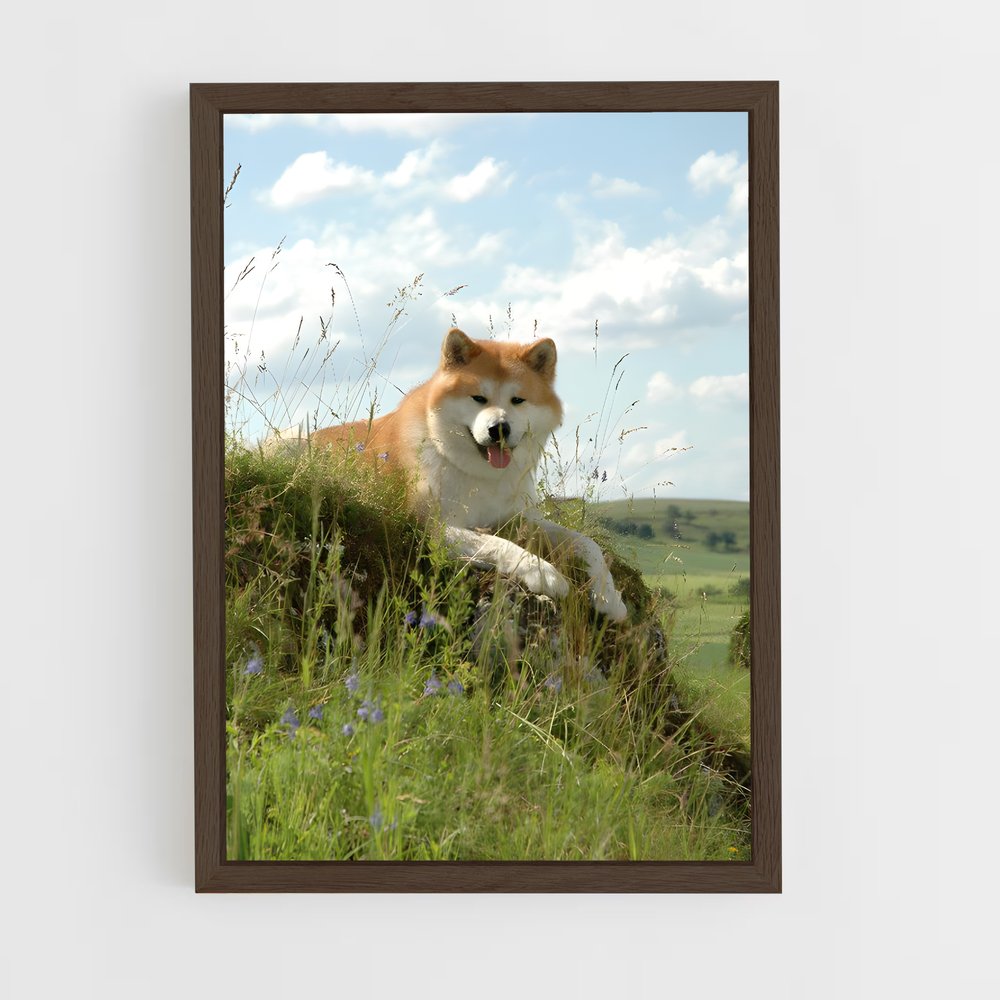 ap-akita-6 cadre Bois foncé