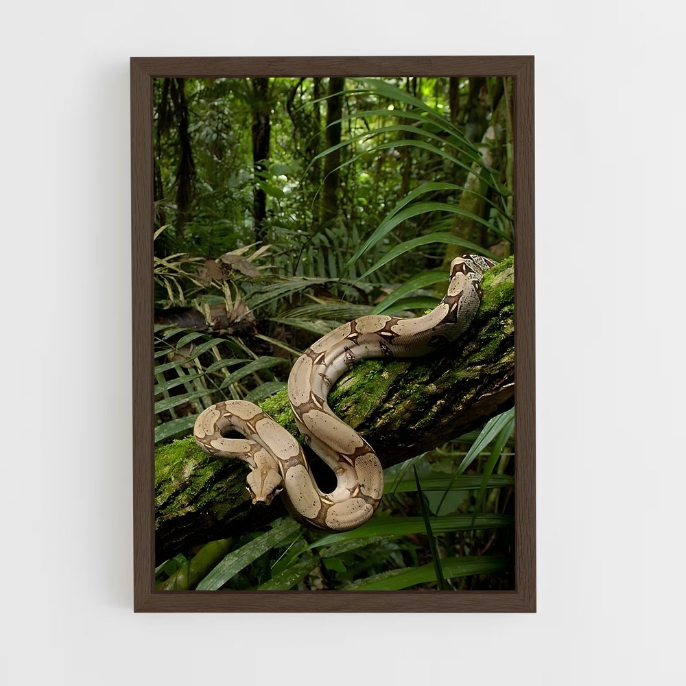 ap-amazon rainforest-14 cadre Bois foncé