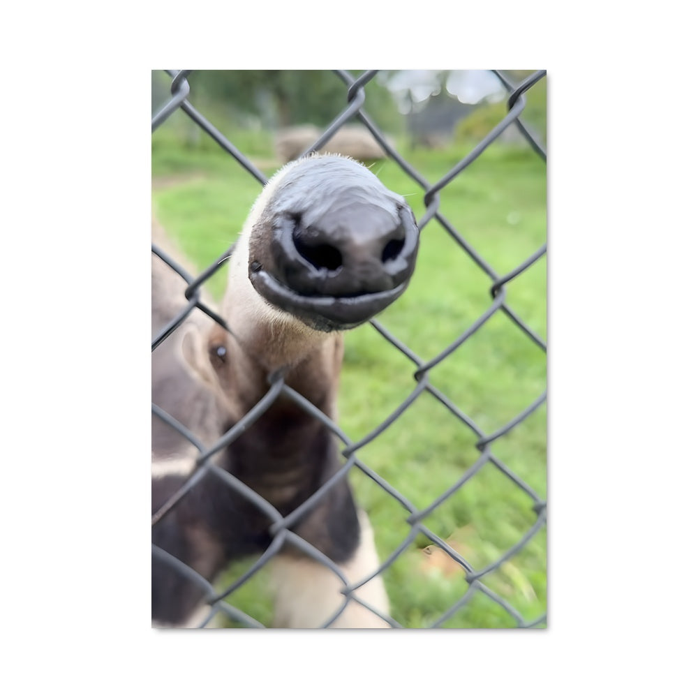 Poster Sous Surveillance