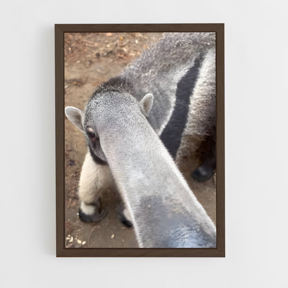 ap-anteater-5 cadre Bois foncé
