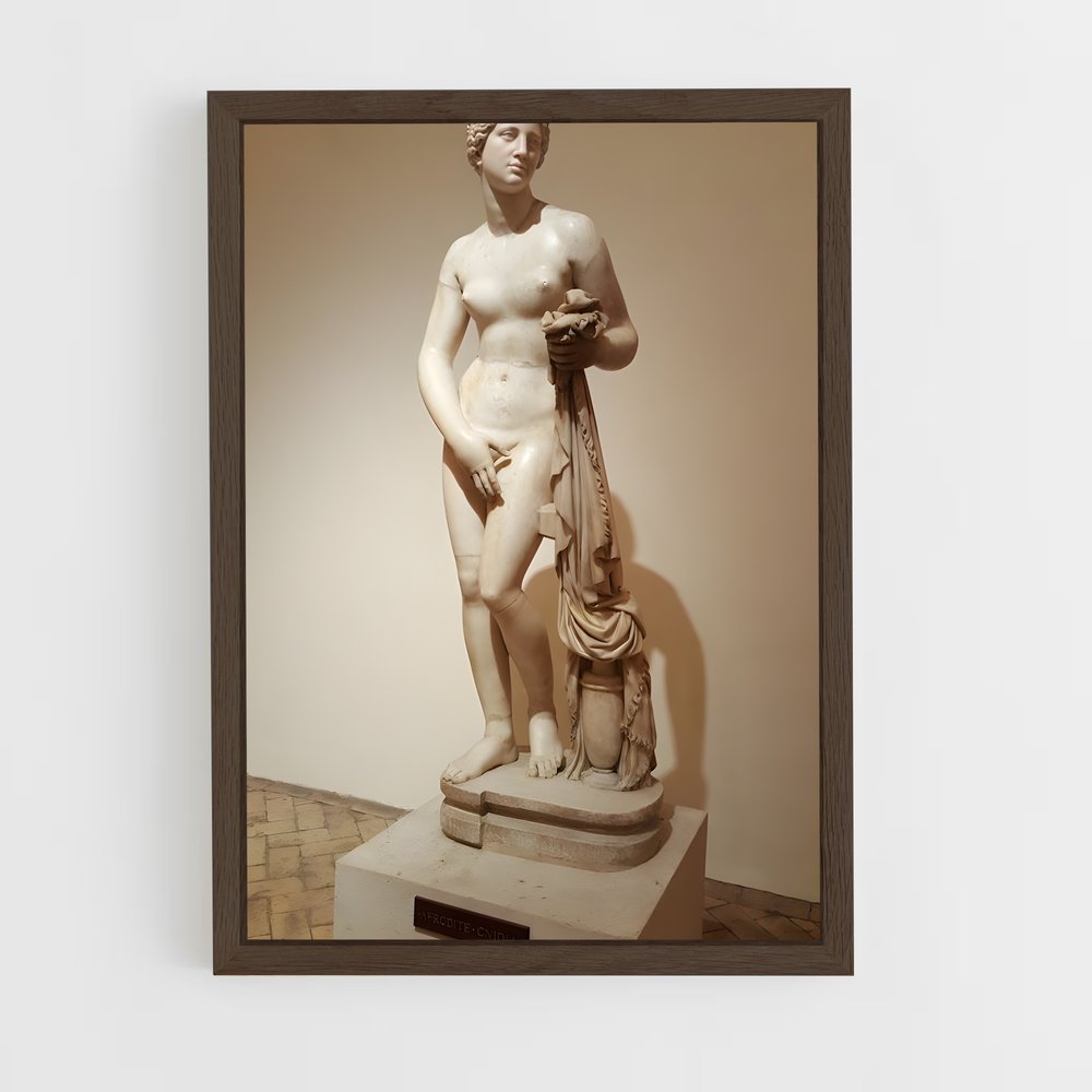 ap-aphrodite of knidos-1 cadre Bois foncé