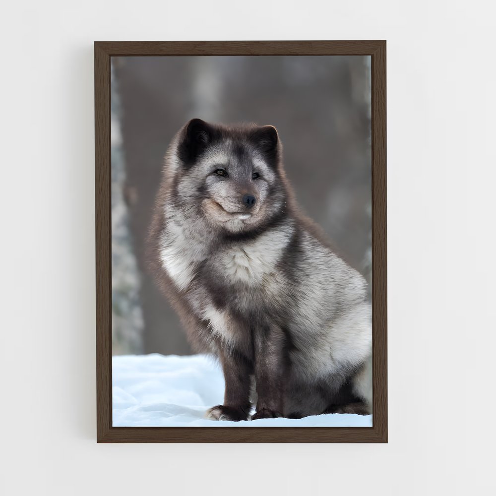 ap-arctic fox-3 cadre Bois foncé