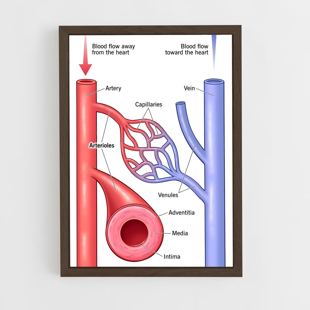 ap-artery-3 cadre Bois foncé