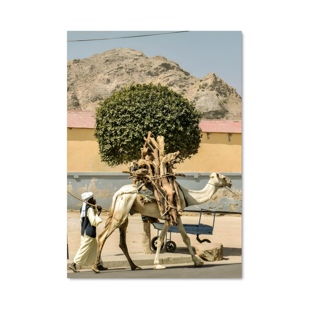 Poster L'Odyssée du Désert