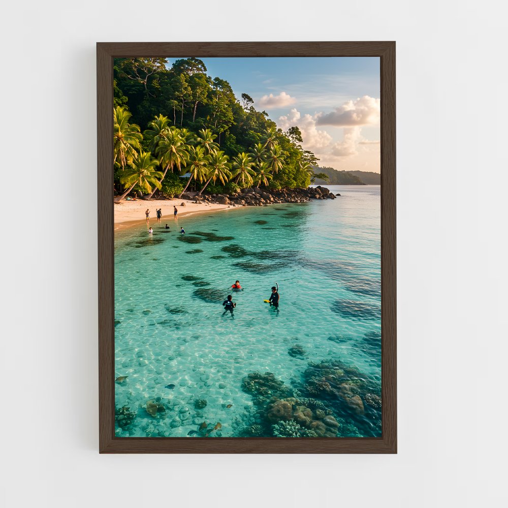 ap-atoll-3 cadre Bois foncé