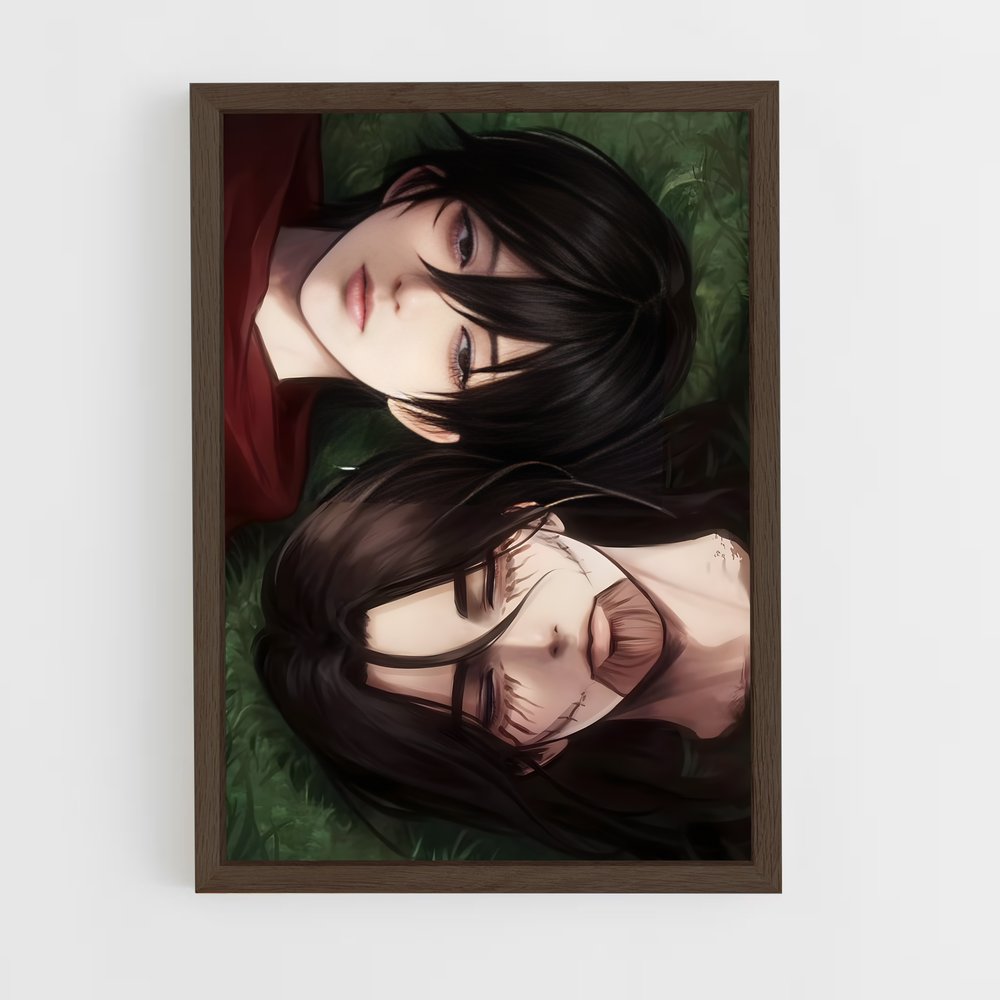 ap-attack on titan-11 cadre Bois foncé