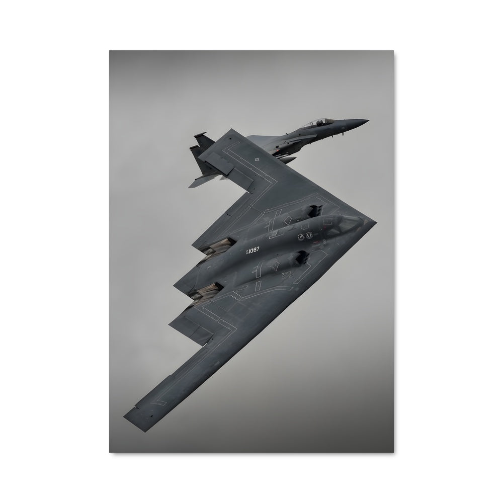 Poster Vol de Tempête