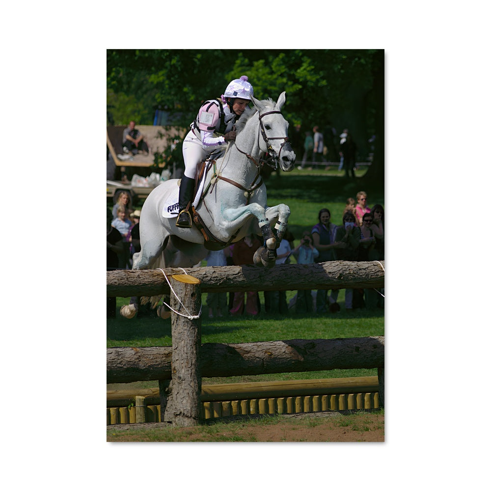 Poster Saut Équestre