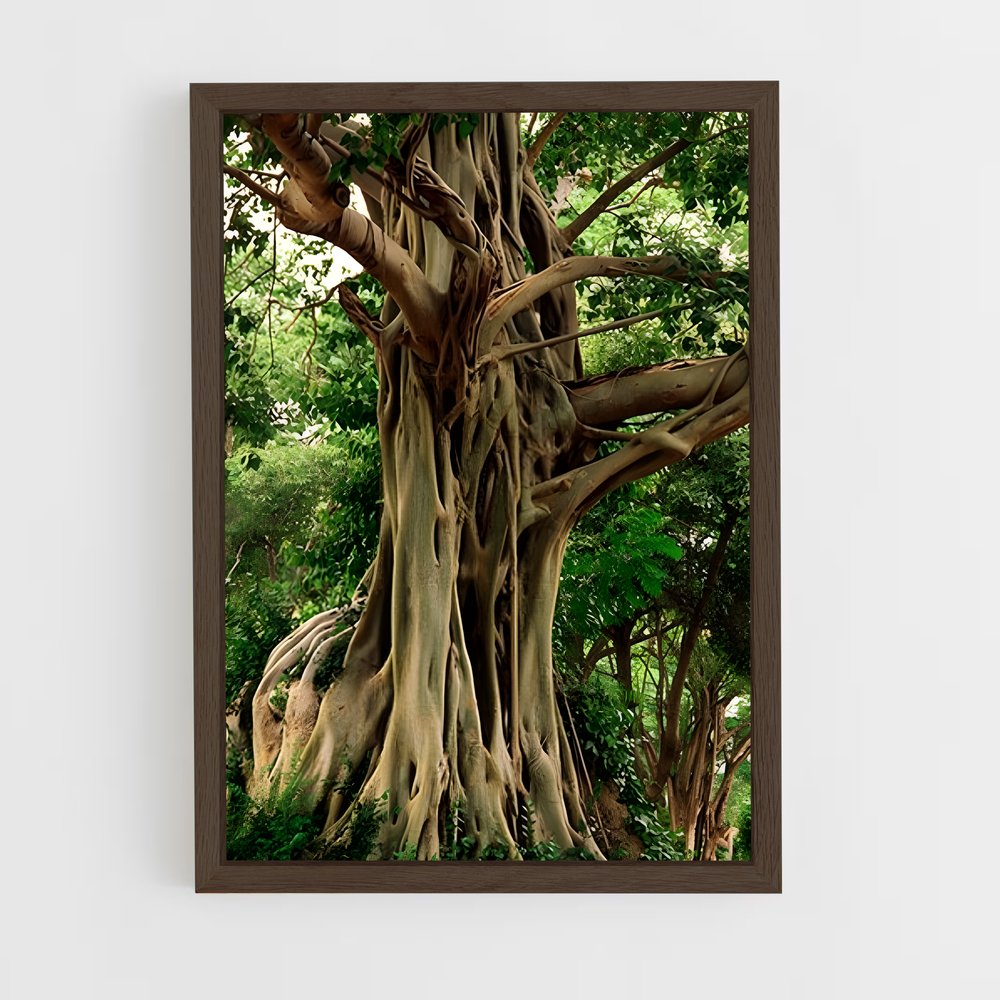 ap-banyan tree-1 cadre Bois foncé