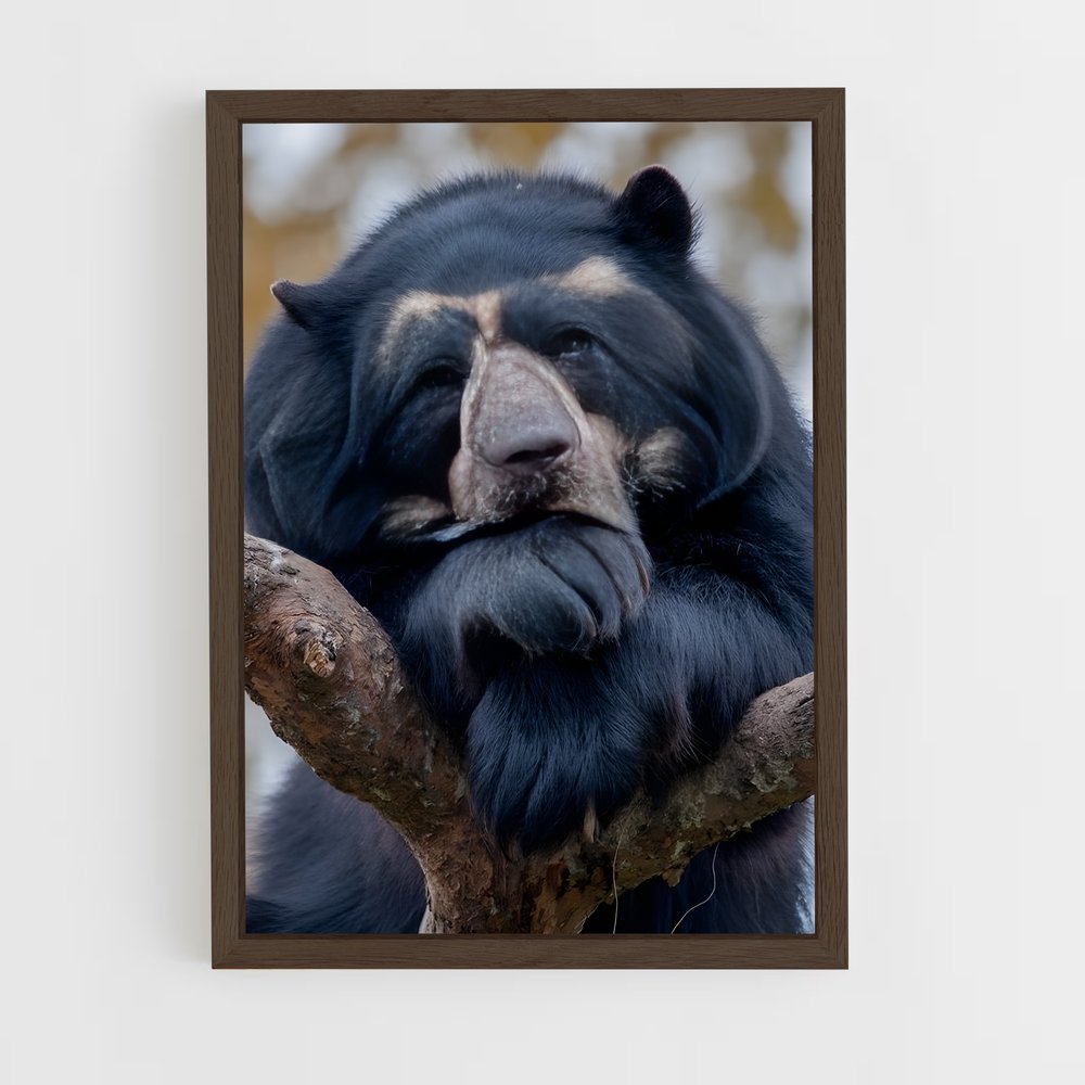 ap-bear-14 cadre Bois foncé