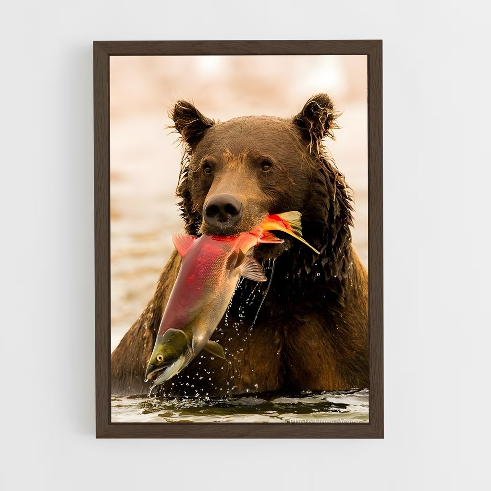 ap-bear-7 cadre Bois foncé