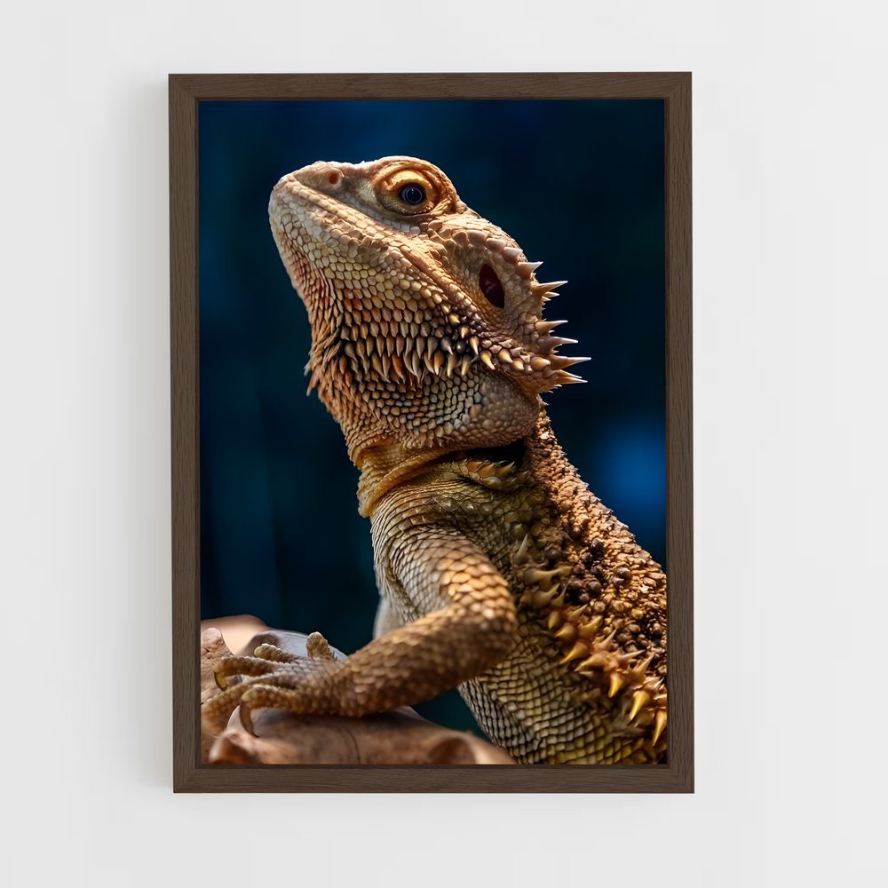 ap-bearded dragon-3 cadre Bois foncé