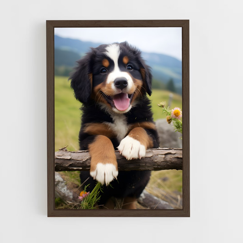 ap-bernese mountain dog-2 cadre Bois foncé