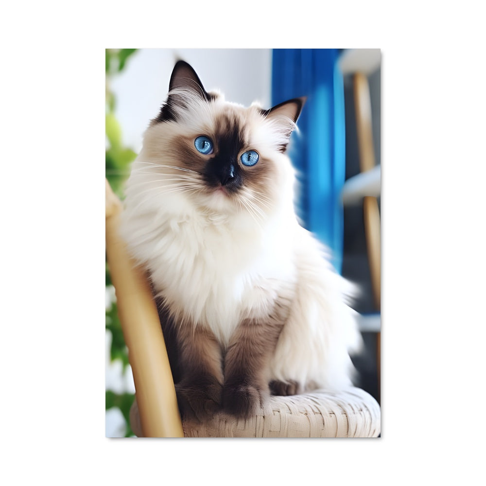 Poster Chat Bleu