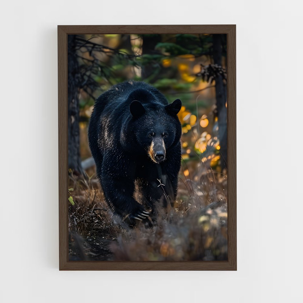 ap-black bear-5 cadre Bois foncé