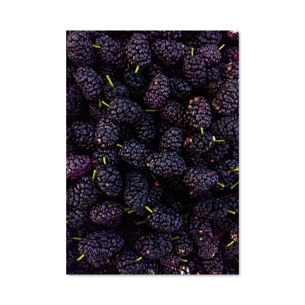 Poster Baies Noires