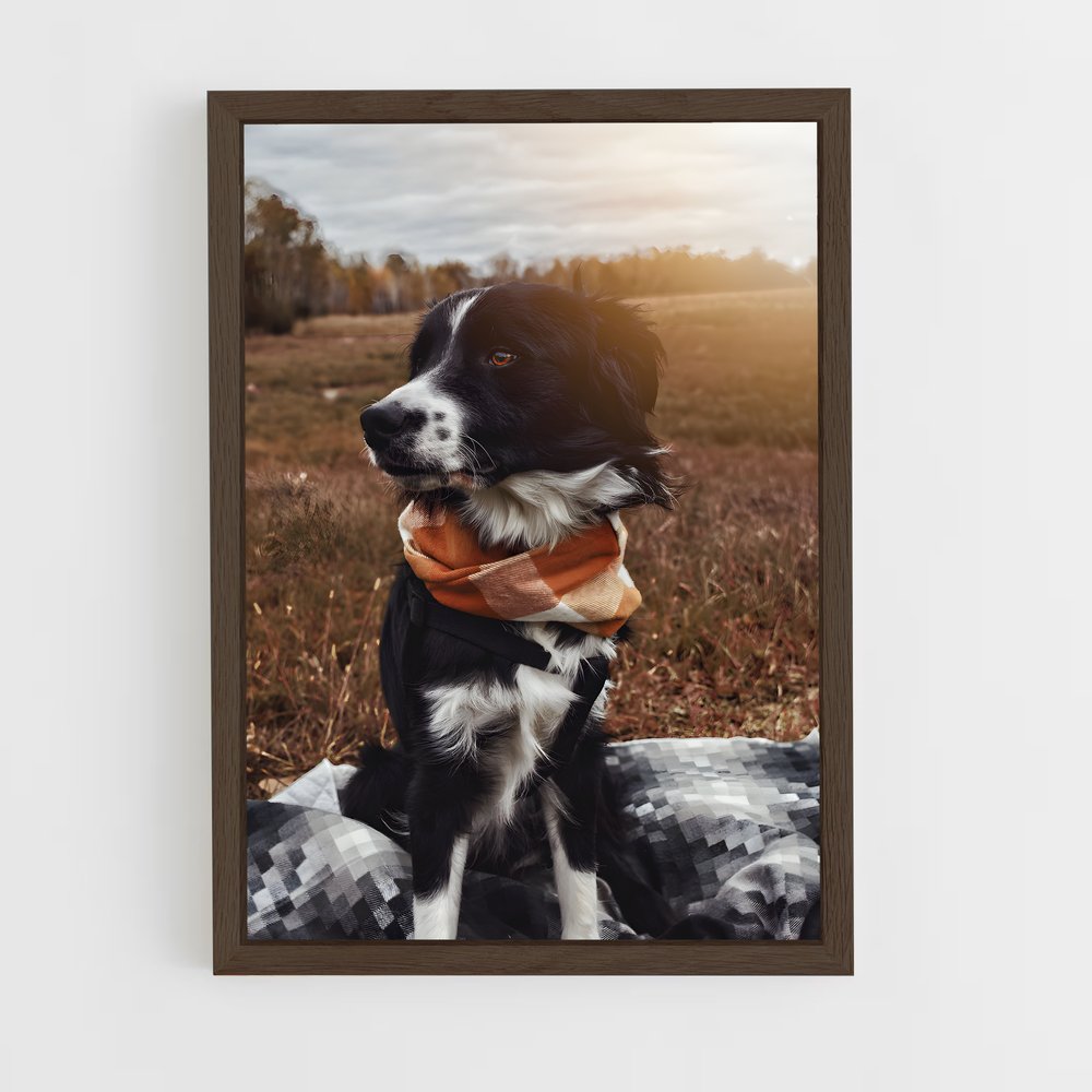 ap-border collie-4 cadre Bois foncé