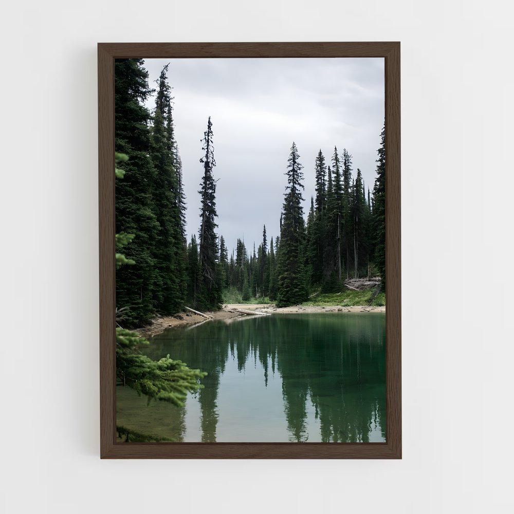 ap-boreal forest-6 cadre Bois foncé