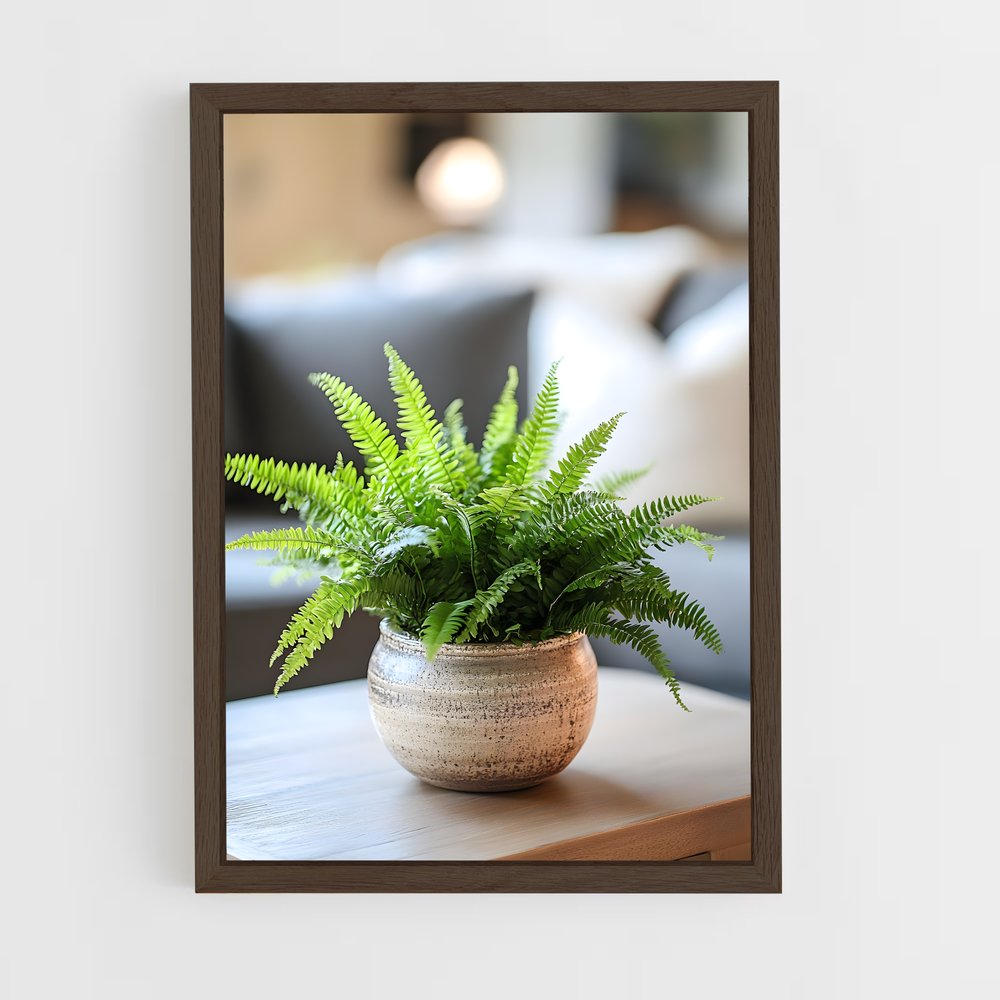ap-boston fern-1 cadre Bois foncé
