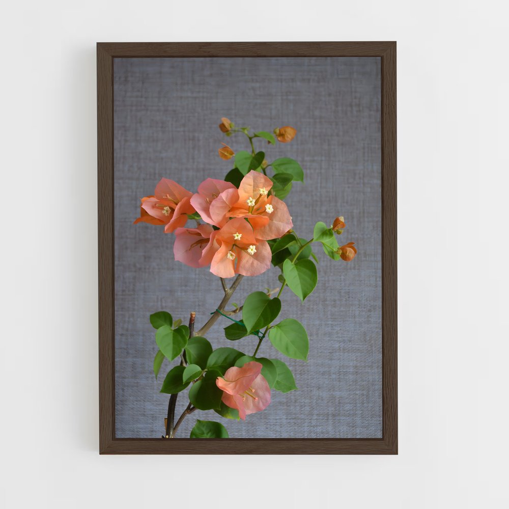 ap-bougainvillea-1 cadre Bois foncé