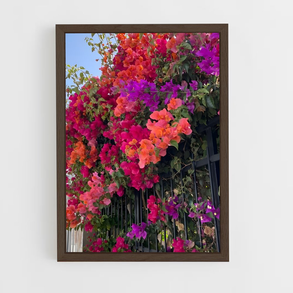 ap-bougainvillea-4 cadre Bois foncé