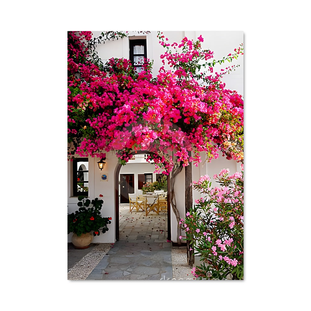 Poster Bougainvillea Bliss