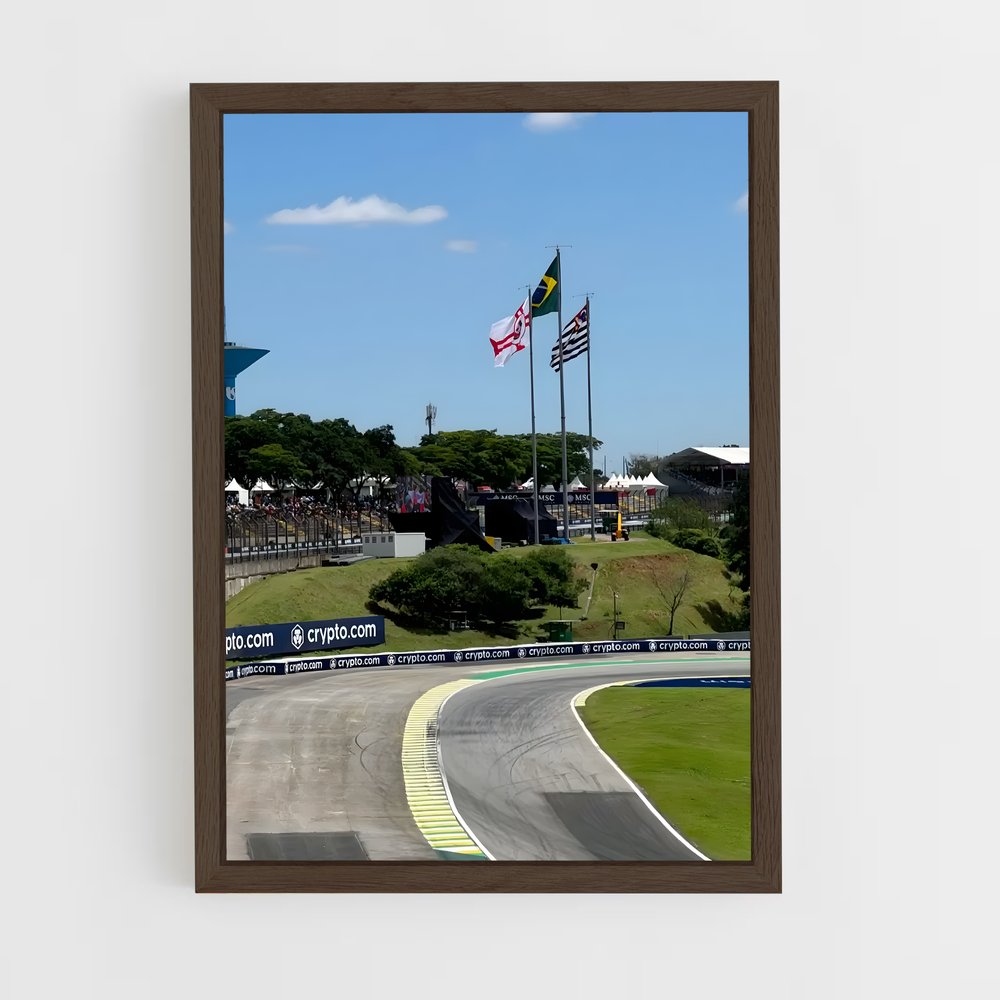 ap-brazilian grand prix-9 cadre Bois foncé