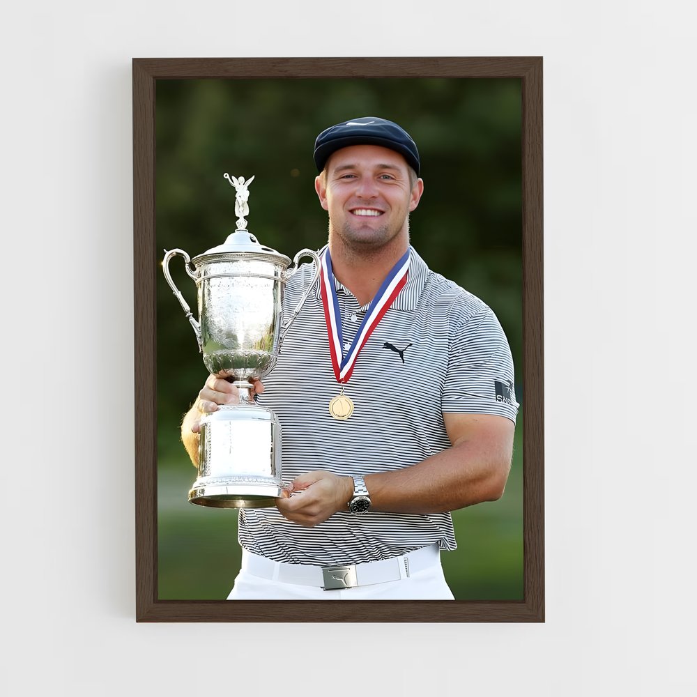 ap-bryson dechambeau-3 cadre Bois foncé