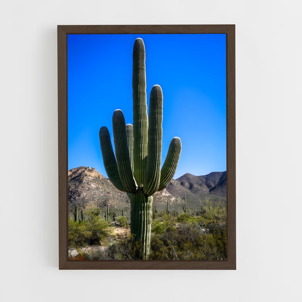ap-cactus-3 cadre Bois foncé