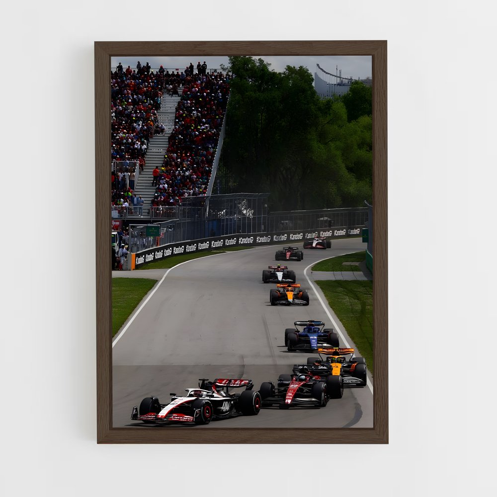ap-canadian grand prix-3 cadre Bois foncé