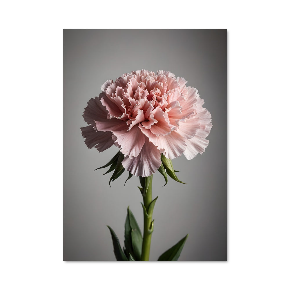 Poster Fleur de Pêche