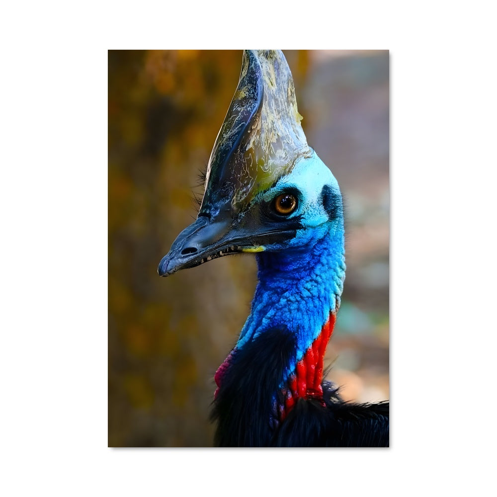 Poster Oiseau Majestueux