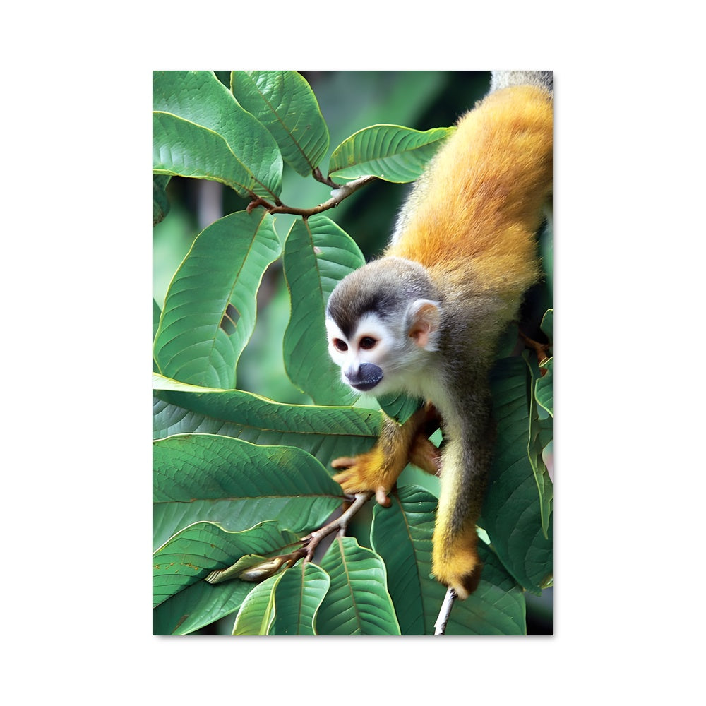 Poster Rassemblement Enchanté