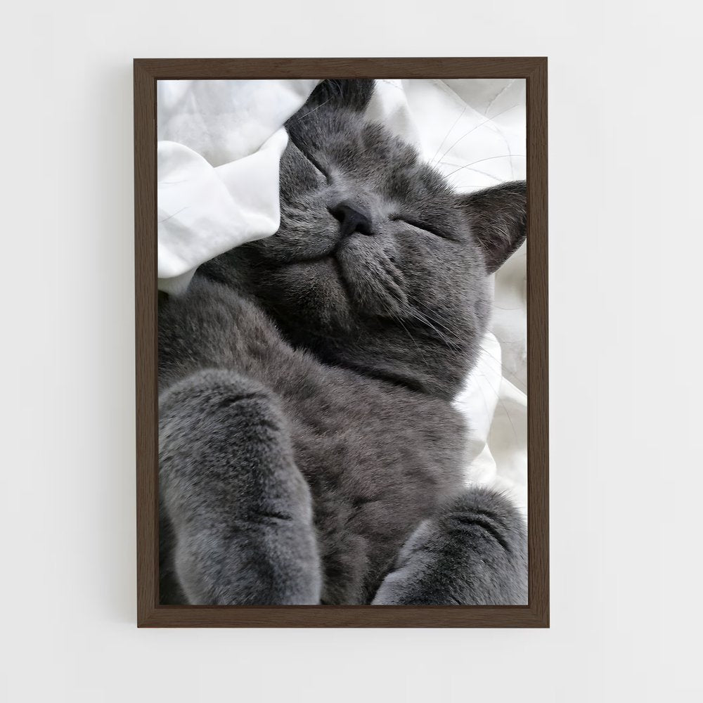 ap-chartreux-2 cadre Bois foncé