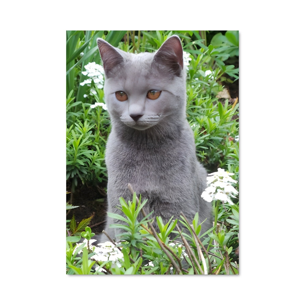 Poster Charme Grisé