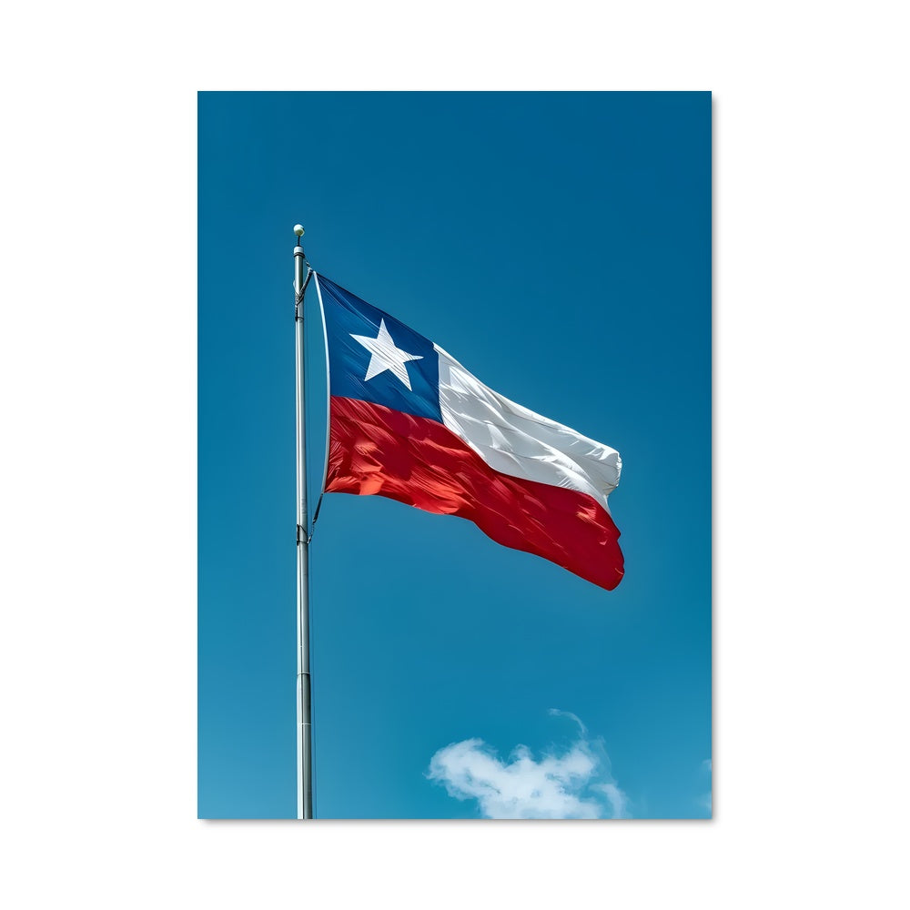 Poster Vent de Texas