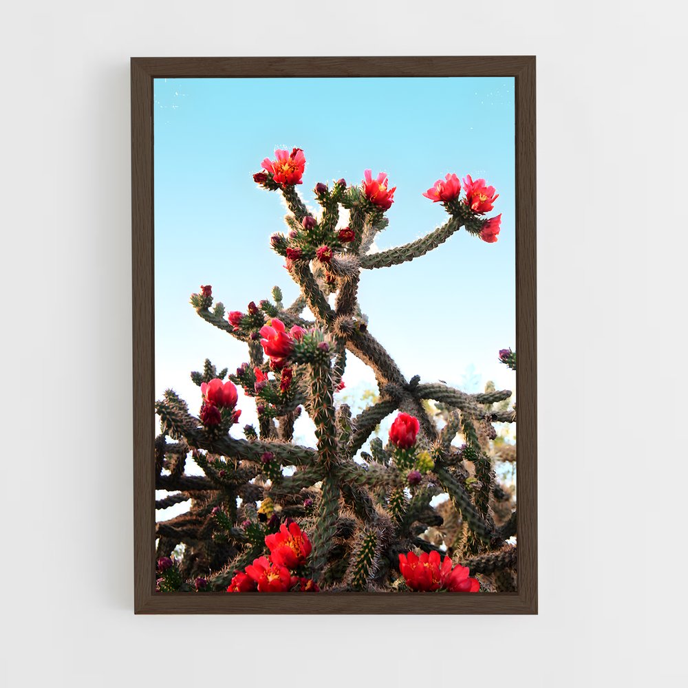ap-cholla-1 cadre Bois foncé