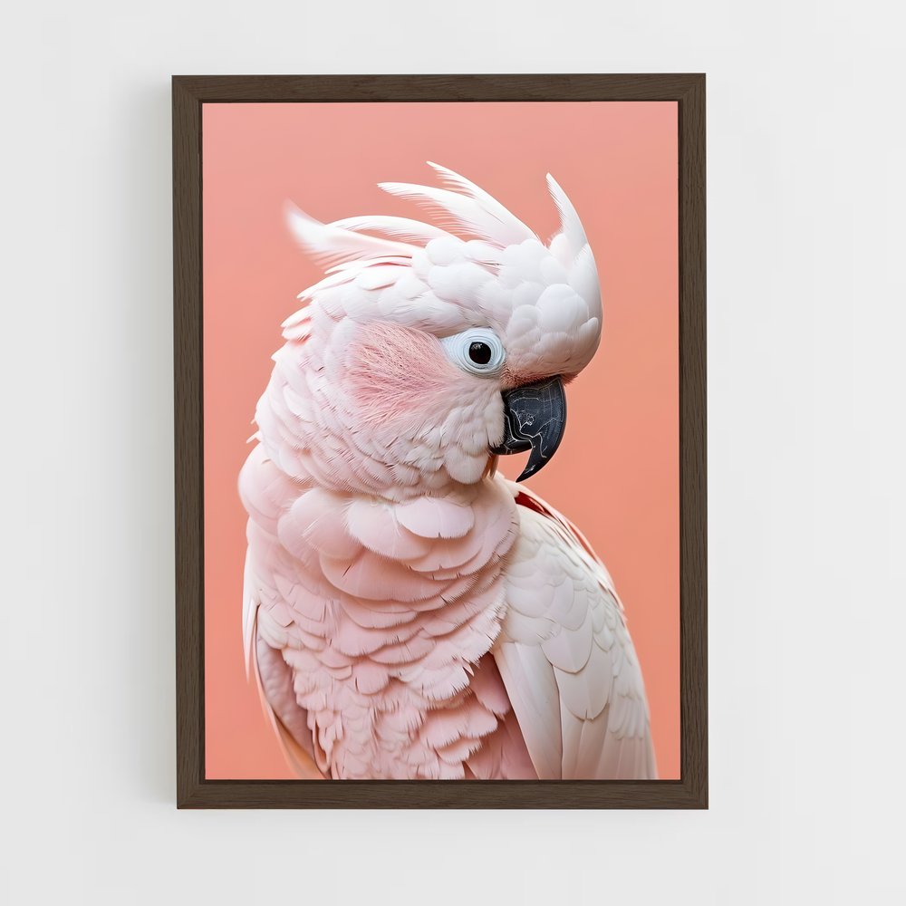 ap-cockatoo-5 cadre Bois foncé