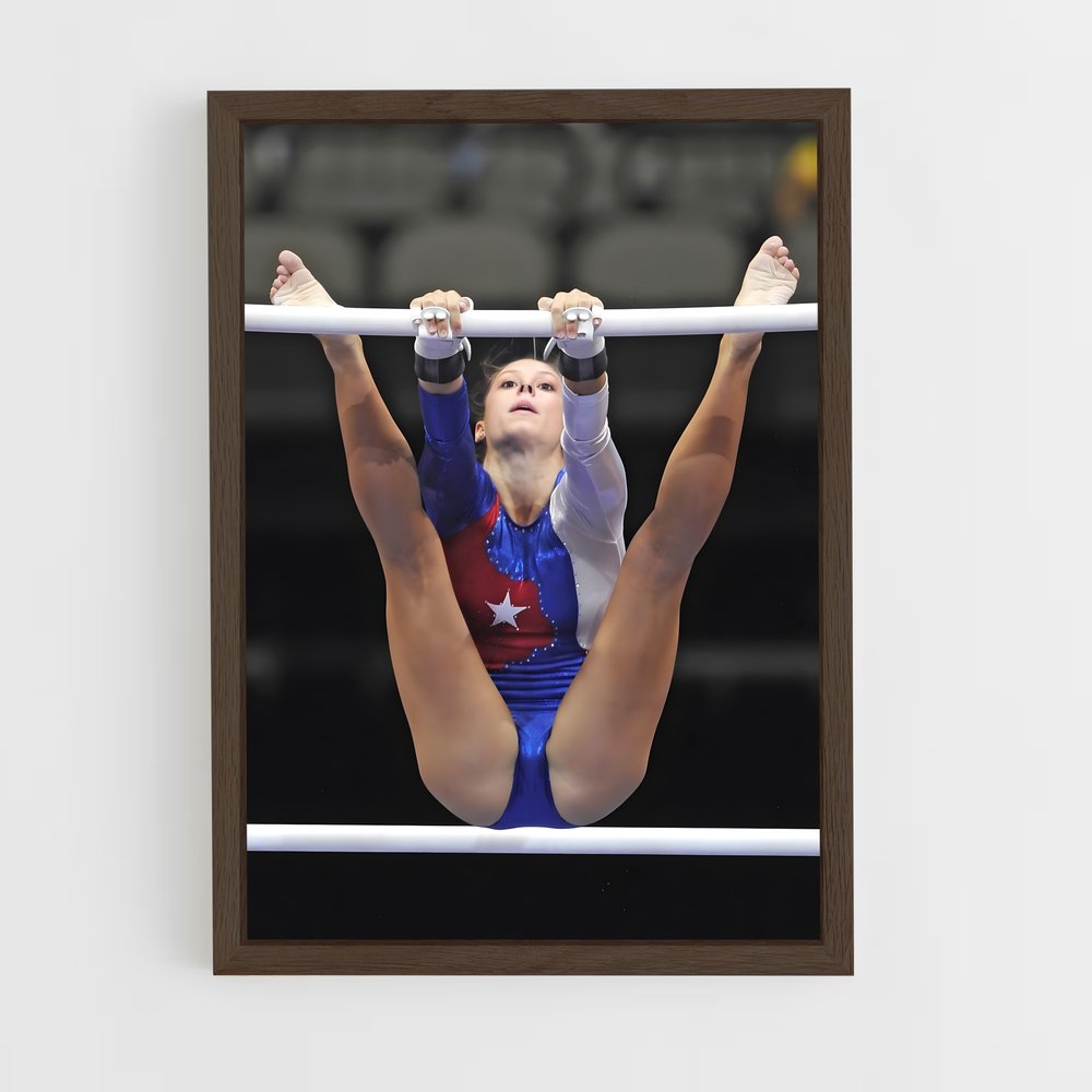 ap-continental championships gymnastics-4 cadre Bois foncé