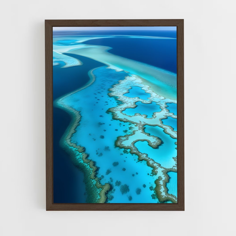ap-coral reef-4 cadre Bois foncé