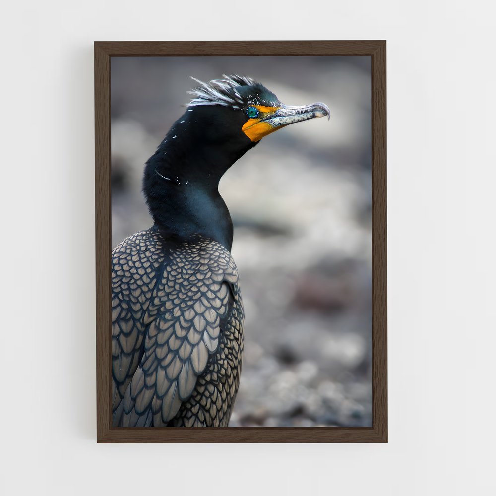 ap-cormorant-6 cadre Bois foncé