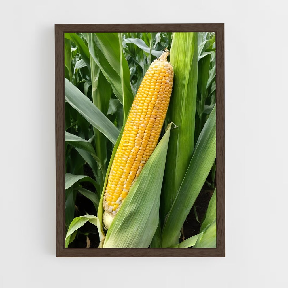 ap-corn-7 cadre Bois foncé