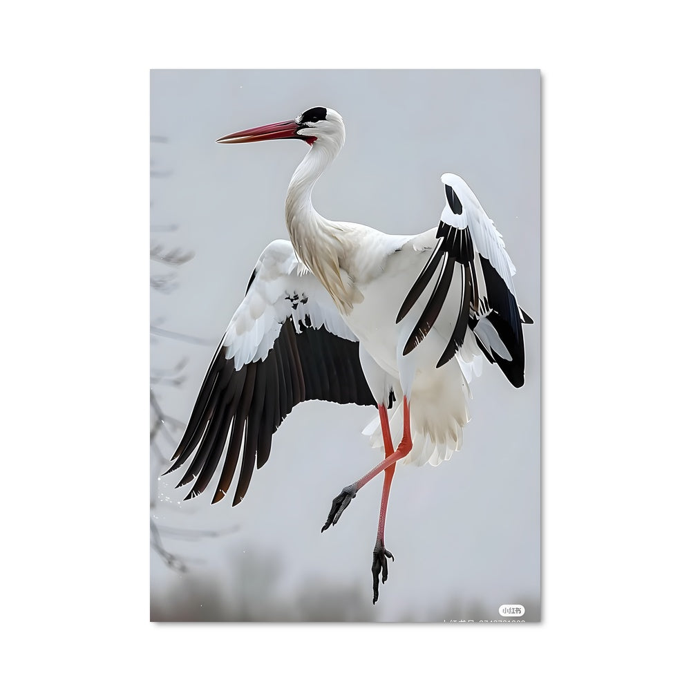 Poster L'Envol du Grue