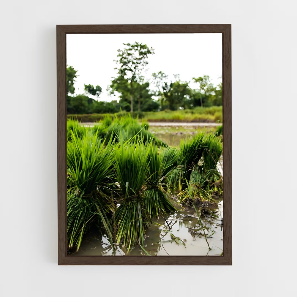 ap-crop-4 cadre Bois foncé