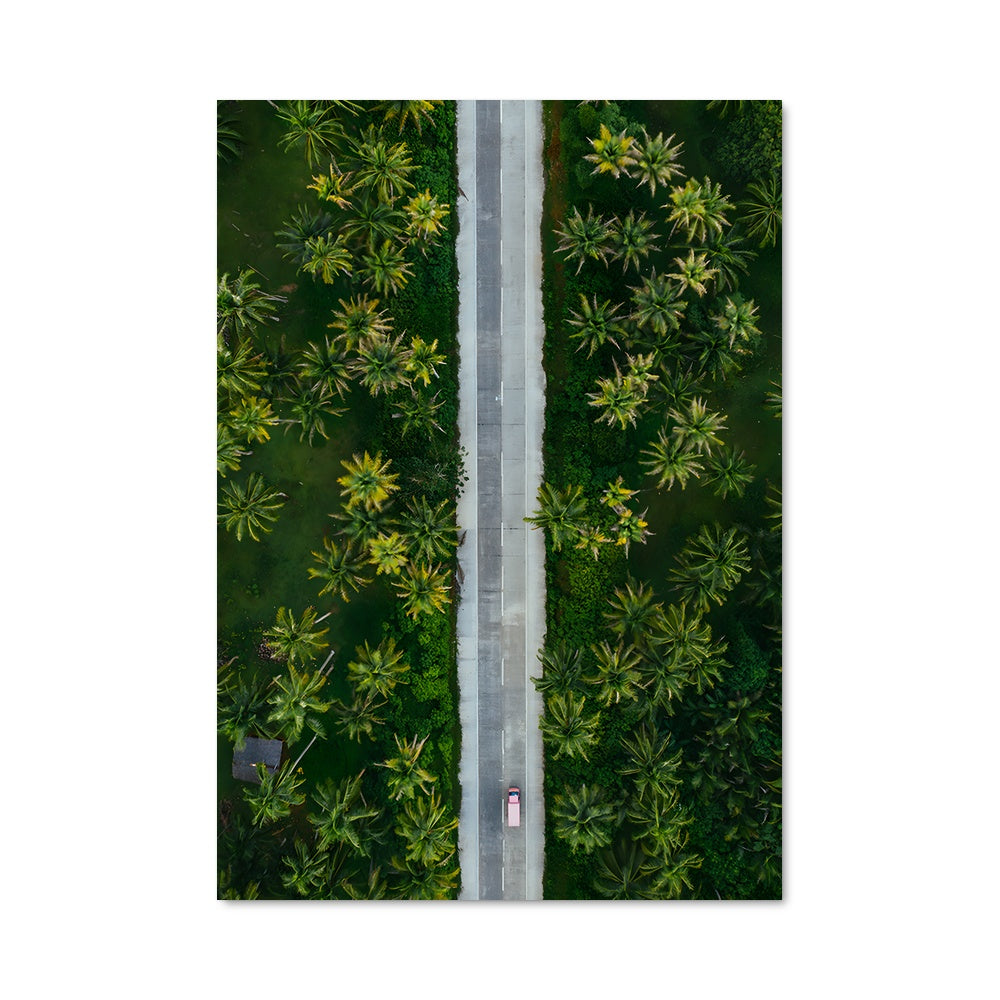 Poster Palmiers de Davao