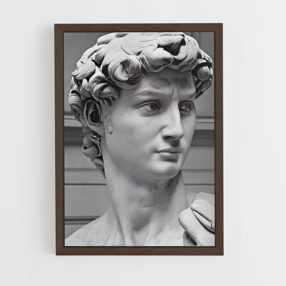 ap-david michelangelo-6 cadre Bois foncé