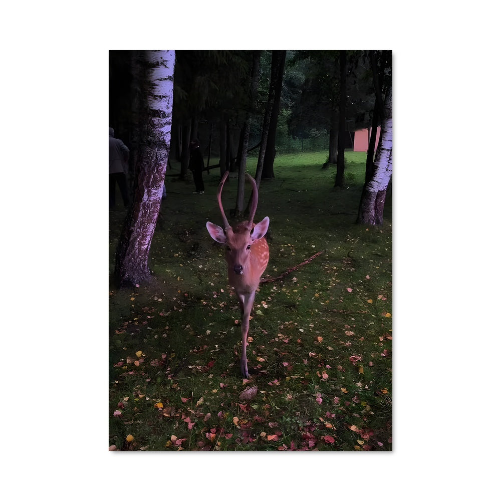 Poster Cerf Émeraude